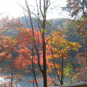fall color