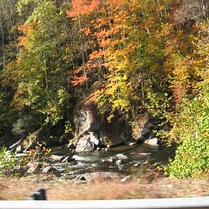fall