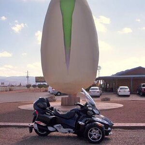 New Mexico 013