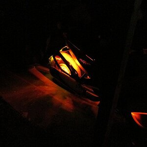 LED's 004