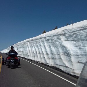 Rocky mnt. n.p.