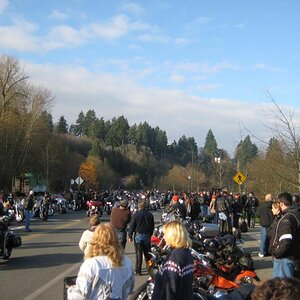 Picture 1113