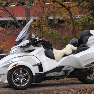 new spyder......