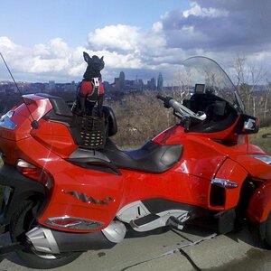 IMG 20120117 143602