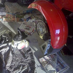 IMG 20120115 170416