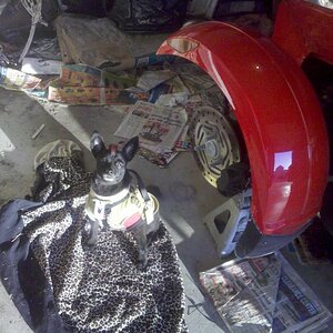 IMG 20120115 170421