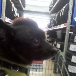 IMG 20120115 173504