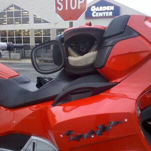 IMG 20120116 163812