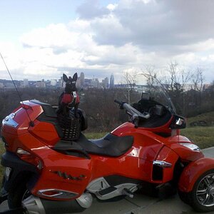 IMG 20120117 143411