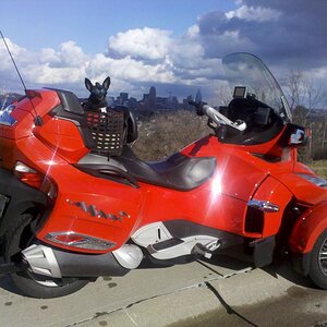 IMG 20120117 143548