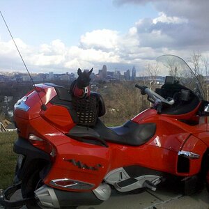 IMG 20120117 143606