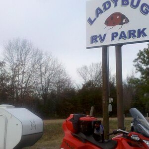 IMG 20120107 150249