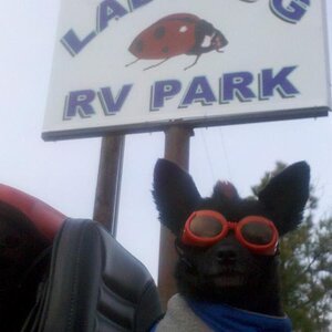 IMG 20120107 150304