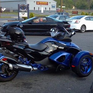 Spyders home