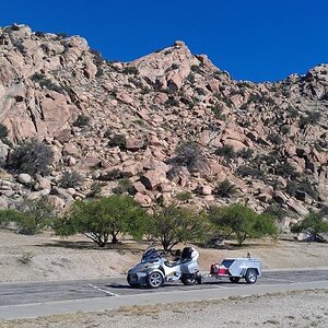 tx canyon
