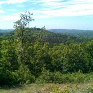 our rock ride 2