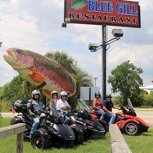 Blue Gill giant fish and Spyders Aug 25, 2012