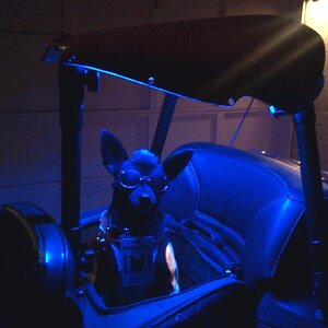 Teddy is Ready
SITA 2012