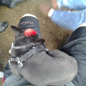 SITA 2012