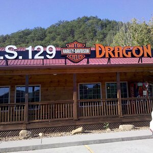 The Dragon