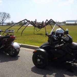 Spyders by the Spider 9/22/12