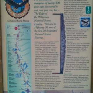 MNsights3
