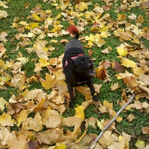IMG 20121019 133732