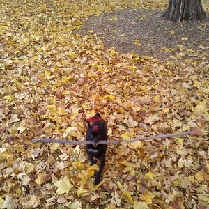 IMG 20121019 134019