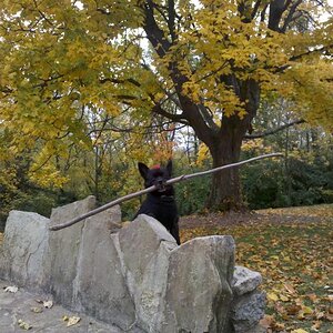 IMG 20121019 134430