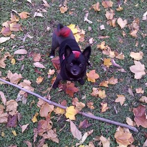 IMG 20121019 134511