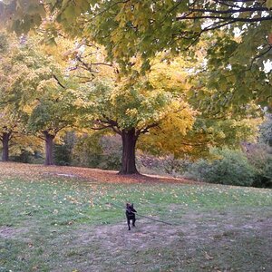 IMG 20121019 134948