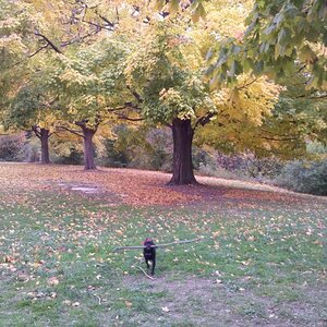 IMG 20121019 135001