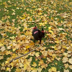 IMG 20121019 133727