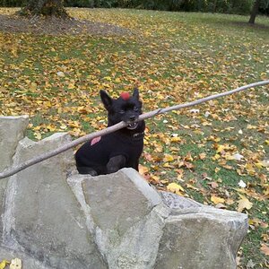 IMG 20121019 134449