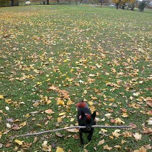 IMG 20121019 134506