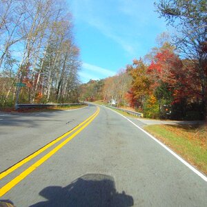 FILE0294