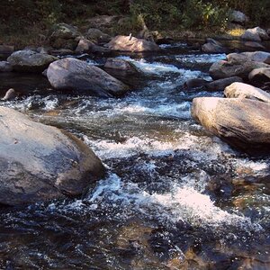rapids