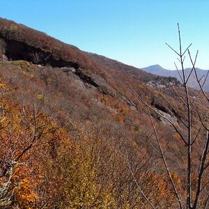 NC2012AUTUMN0036