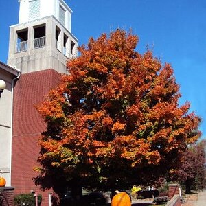 Nc2012autumn0053a