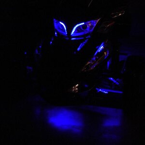 My black lights