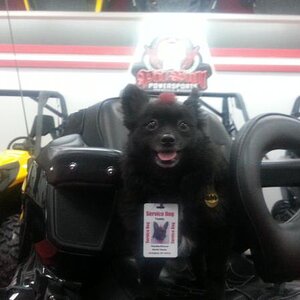 20130302 182522[1]