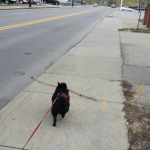 20130304 171218[1]
