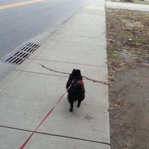 20130304 171208[1]