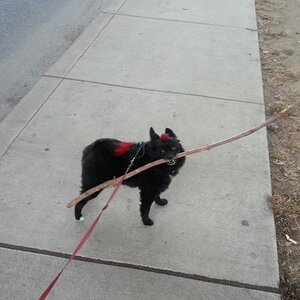 20130304 171201[1]
