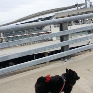 20130304 164017