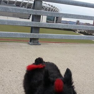 20130304 164727