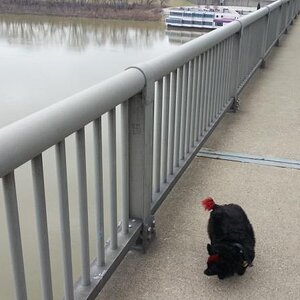 20130304 165517
