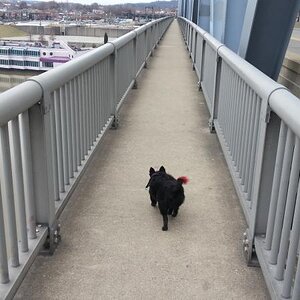 20130304 165636
