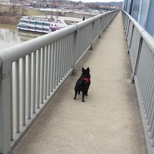 20130304 165639