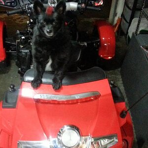 20130307 195705